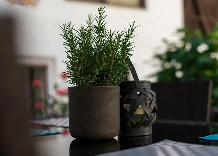 Maison d'hôtes Gasser